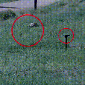 Perfect solar garden (до 100 кв.м) (ПРЕМИУМ ЦЕНА) - Image 9