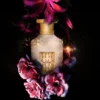 Maison Asrar Soudfa 100ml Eau de parfum Unisex