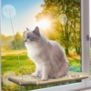 Котешки хамак за прозорец