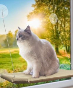 Котешки хамак за прозорец