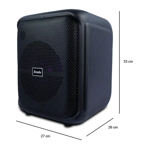 BTS-1740 Bluetooth караоке високоговорител (Безплатна доставка) - Image 4